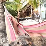 La Caracola Cartagena