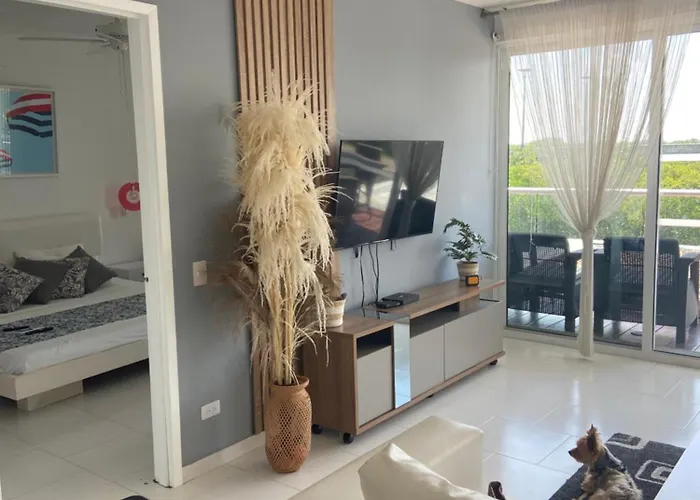Cartagena Apartamento En Morros En Primera Linea De Playa