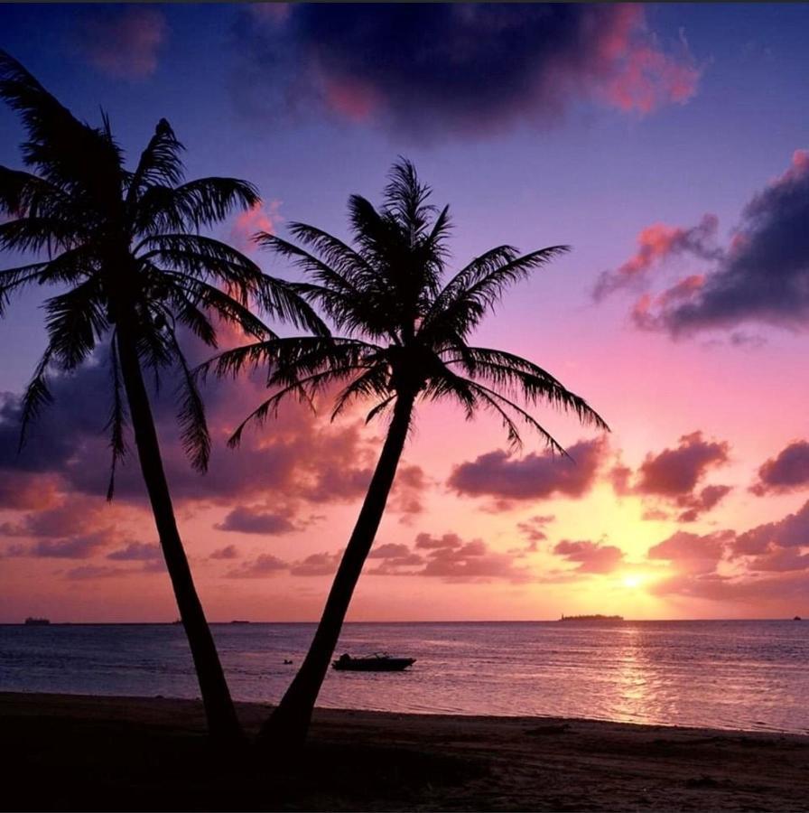 Caribe Apartamento *