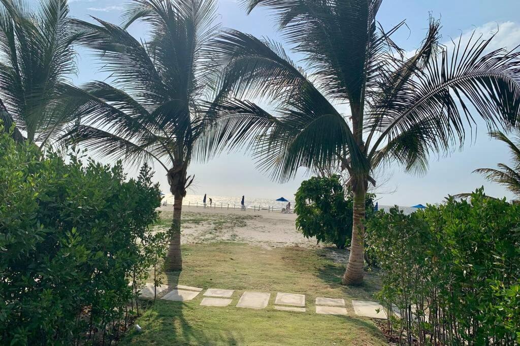 Apartamento Hermoso Apto Zona Exclusiva En Serena Salida Playa