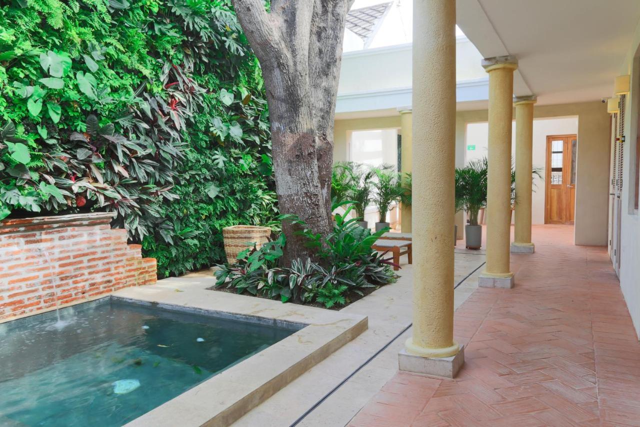 Casa Jaguar Boutique Hotel