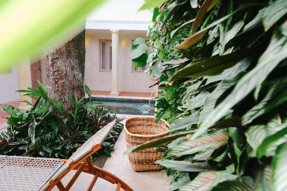 Hotel Casa Jaguar Boutique *