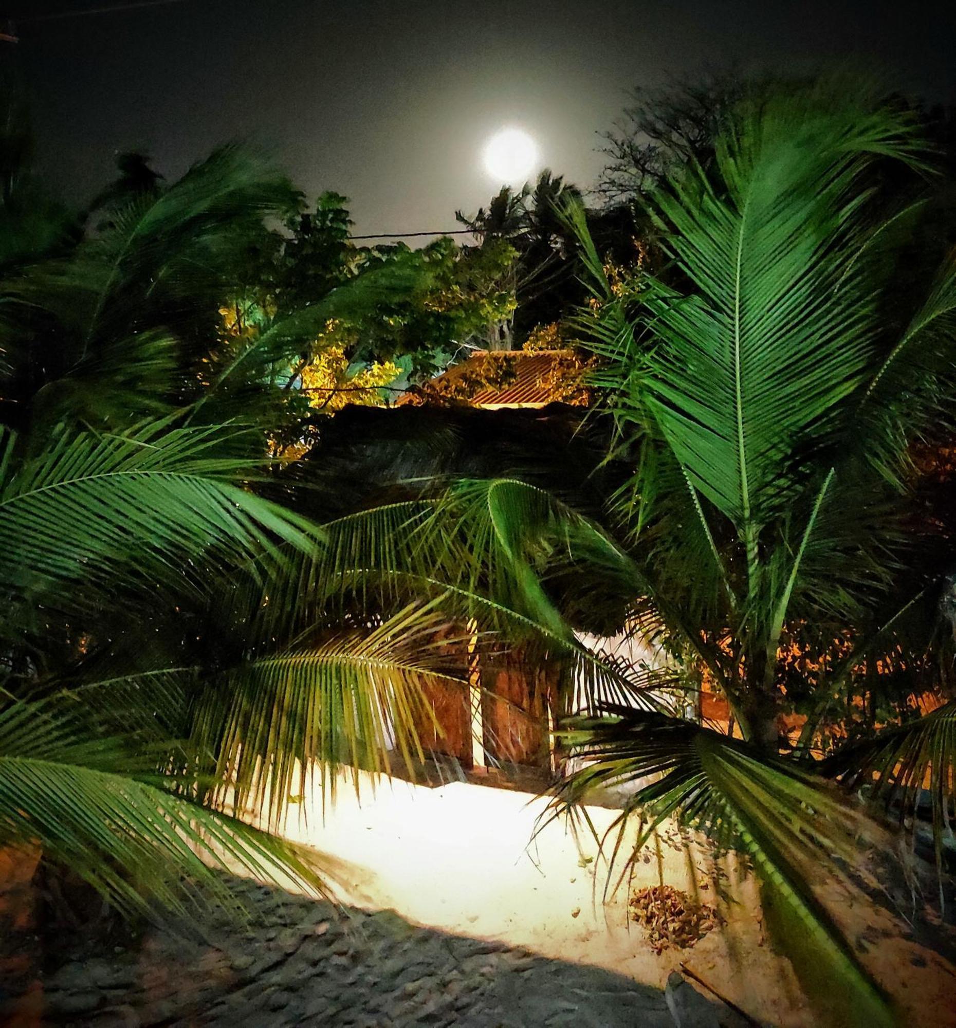 La Caracola *
