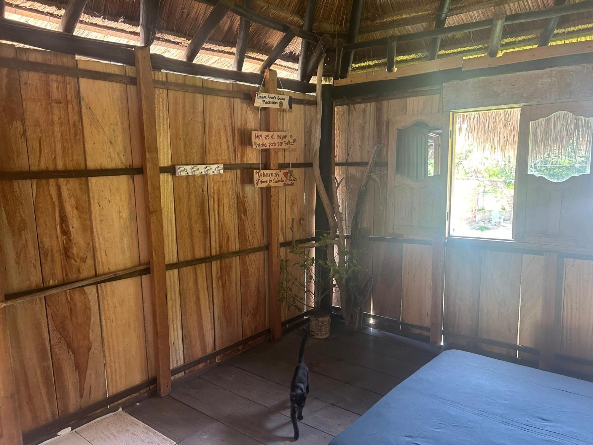 Guest house Punta Arena Ecohostal & Ecofit - Your Eco-conscious Oasis