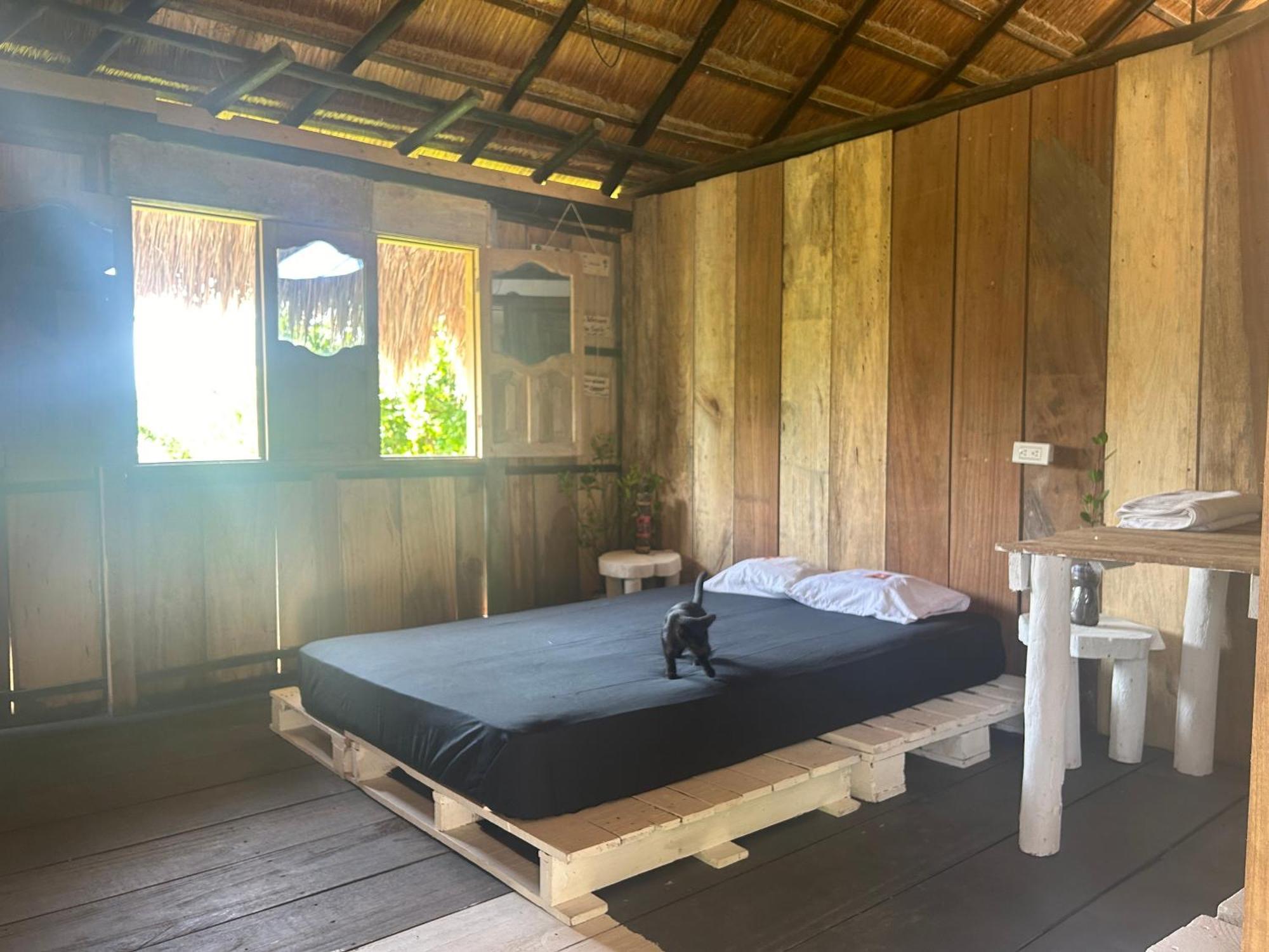 Punta Arena Ecohostal & Ecofit - Your Eco-conscious Oasis Guest house