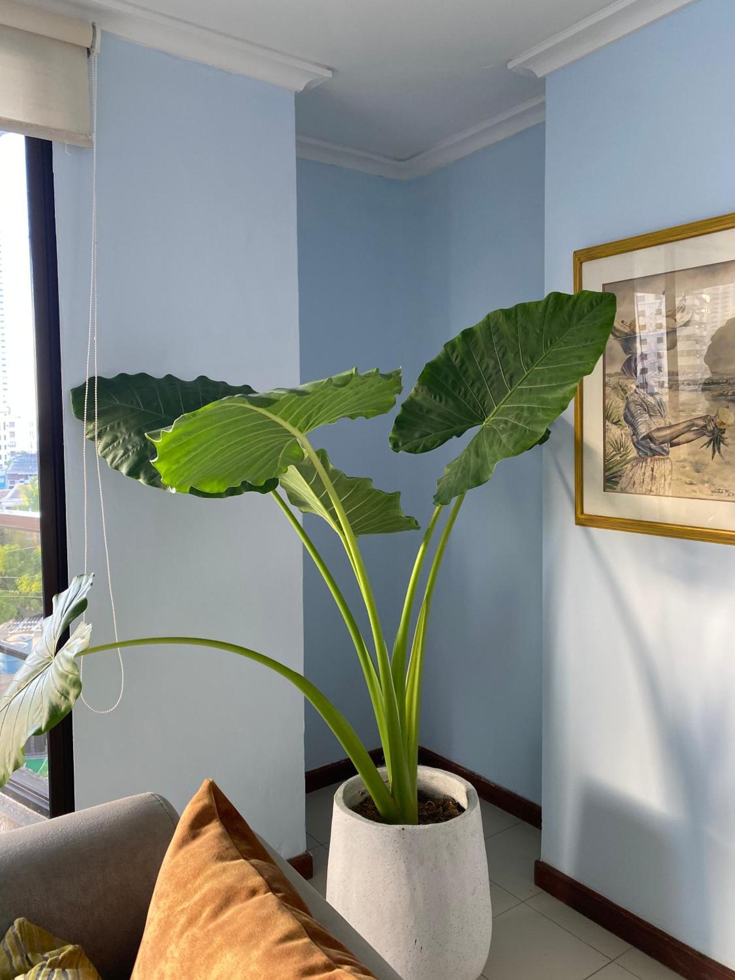 Habitación en casa particular Doble Bano Privado Cerca Al Mar Y Bahia *
