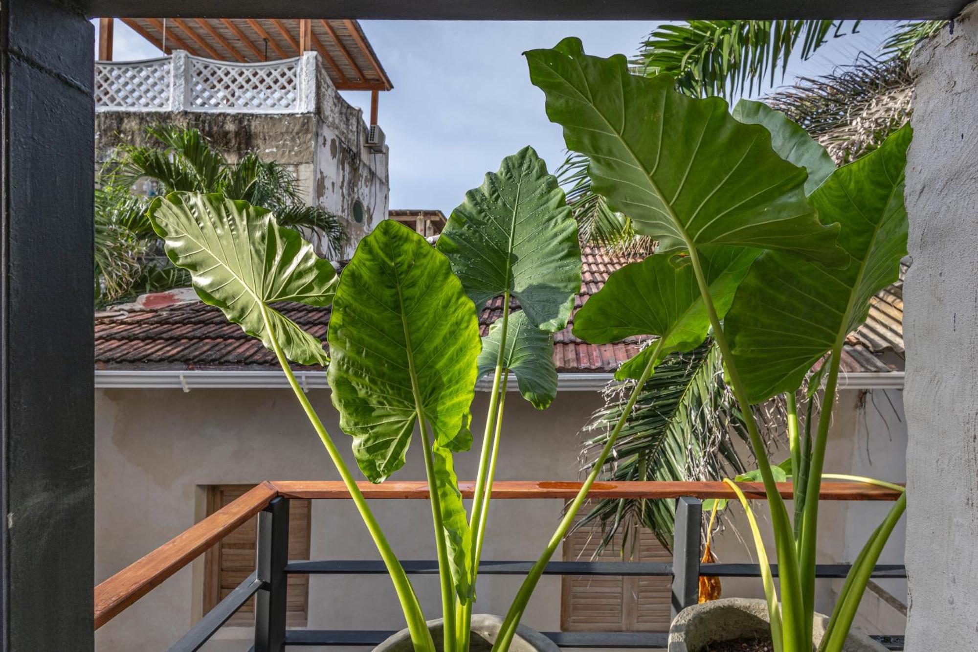 Сasa de vacaciones Casa Fernandez By Soho *