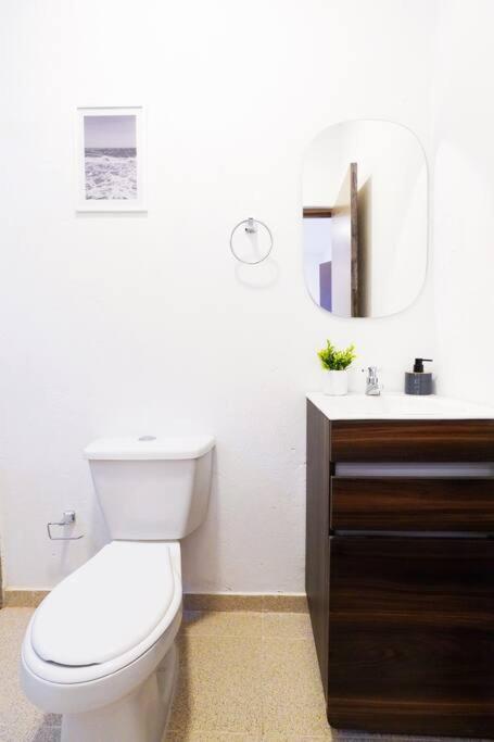 Casa Bruna, Aldaba Selection Cartagena