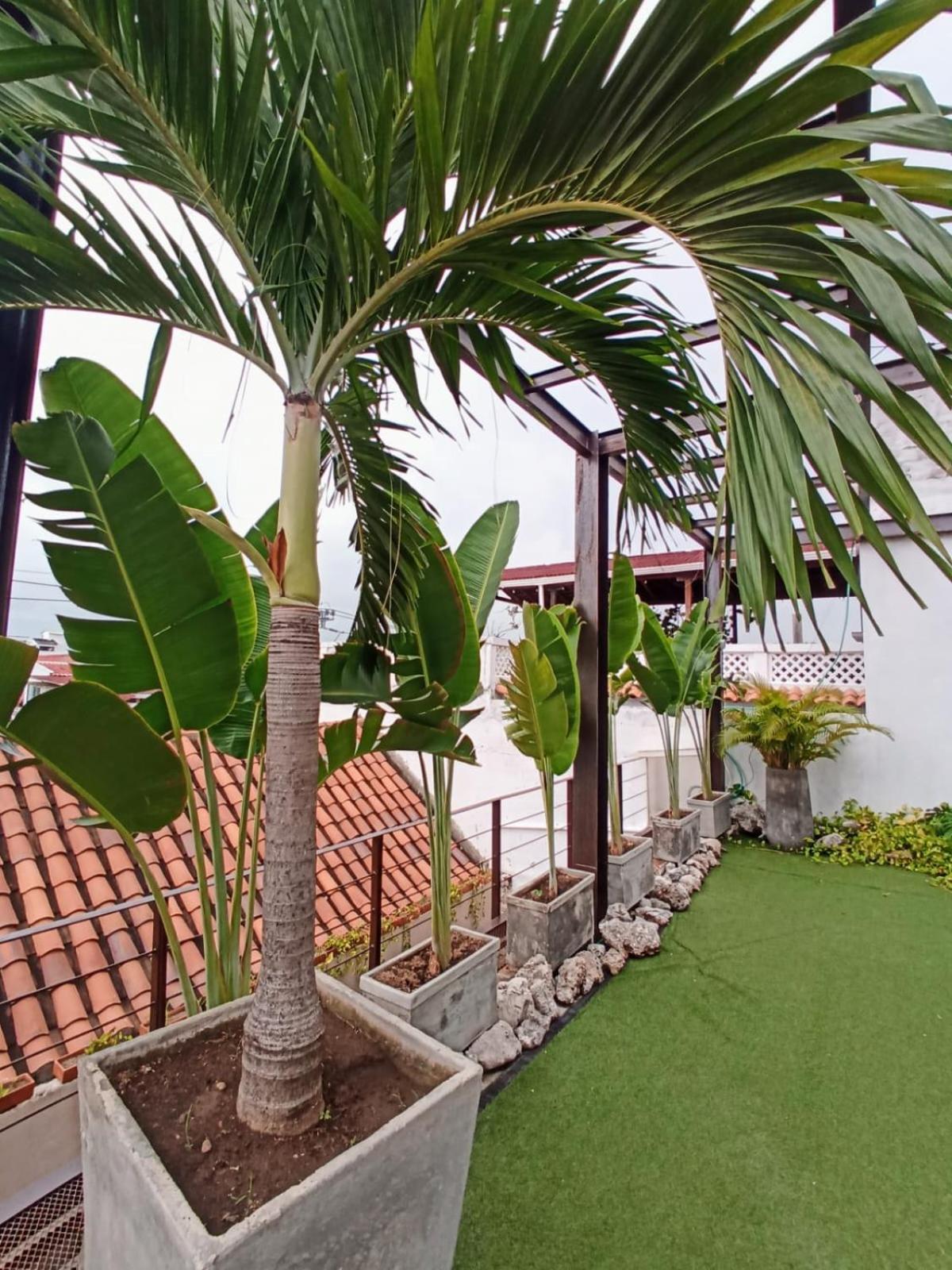 Duplex En Getsemani Twon *