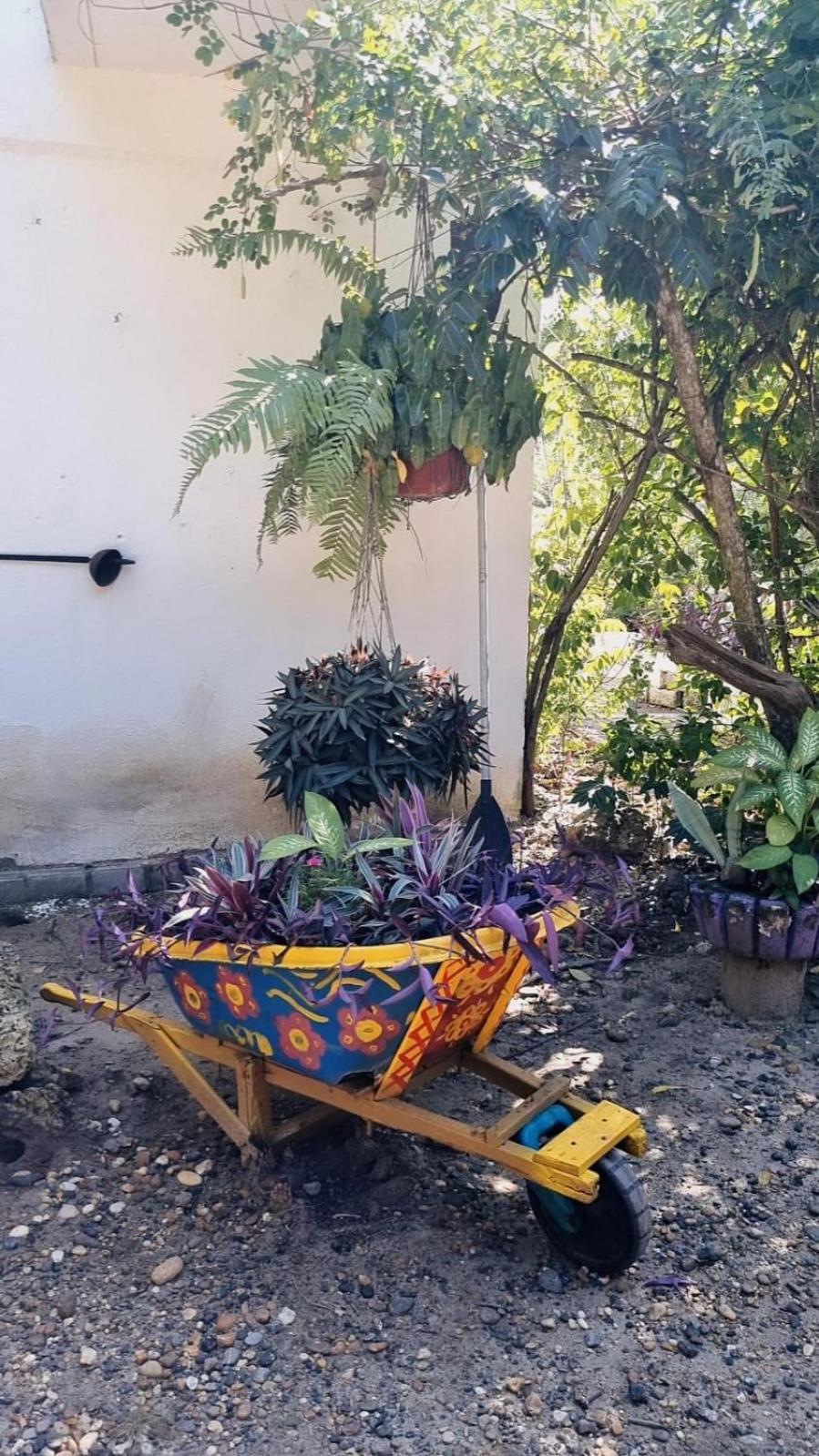 Pensión El Refugio Del Tiburon *