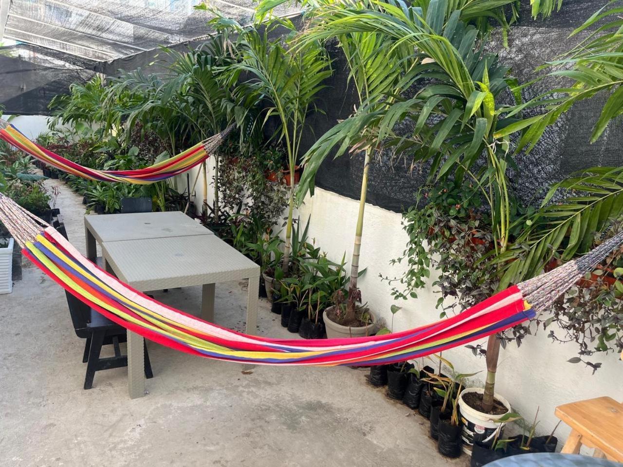 Cerca A La Playa 105 Homestay