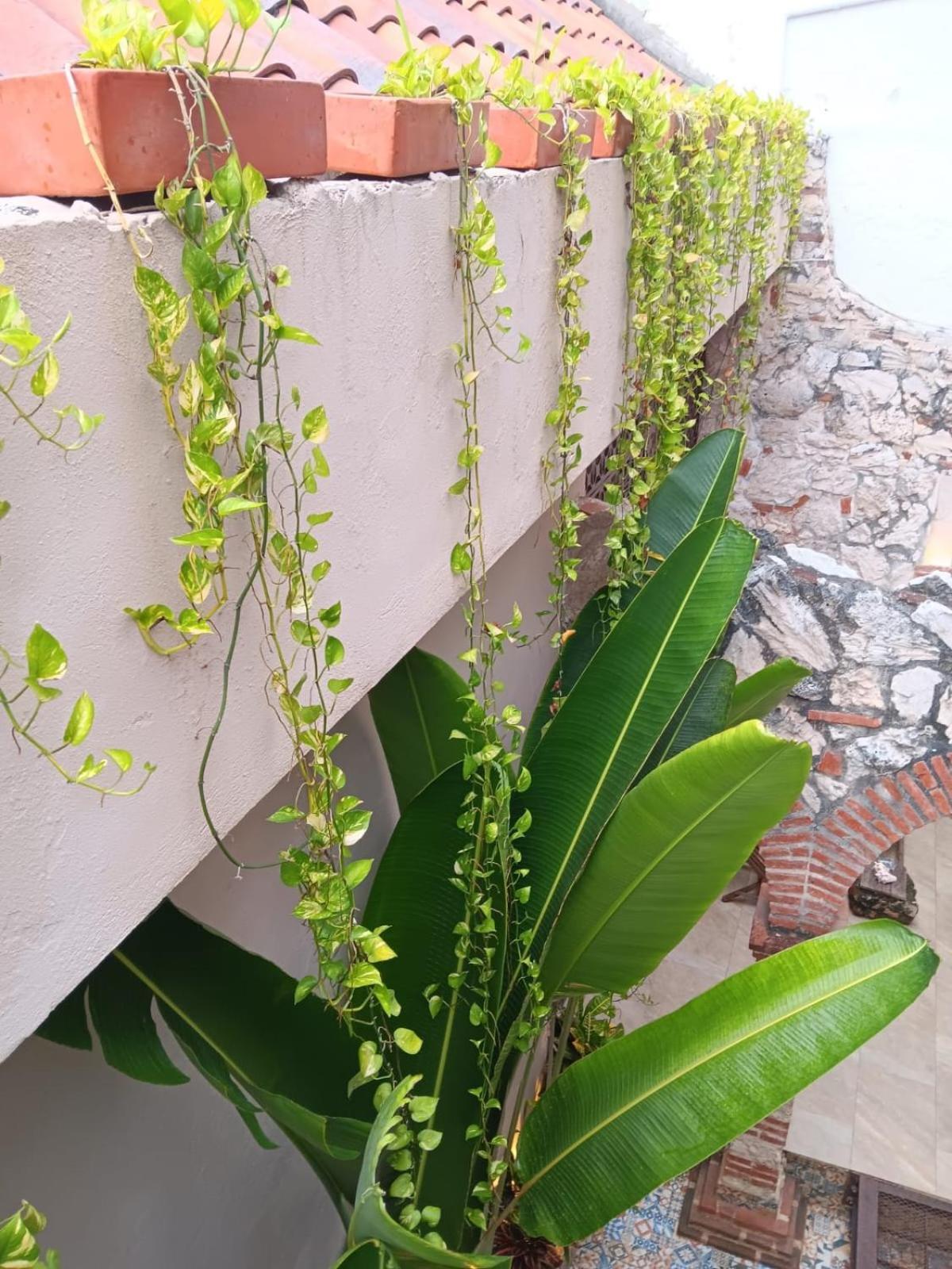 Pensión Privada En Getsemani Cartagena