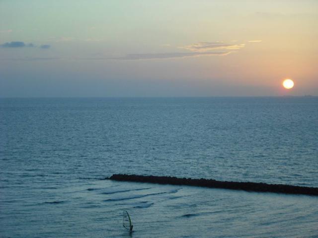Torres Del *