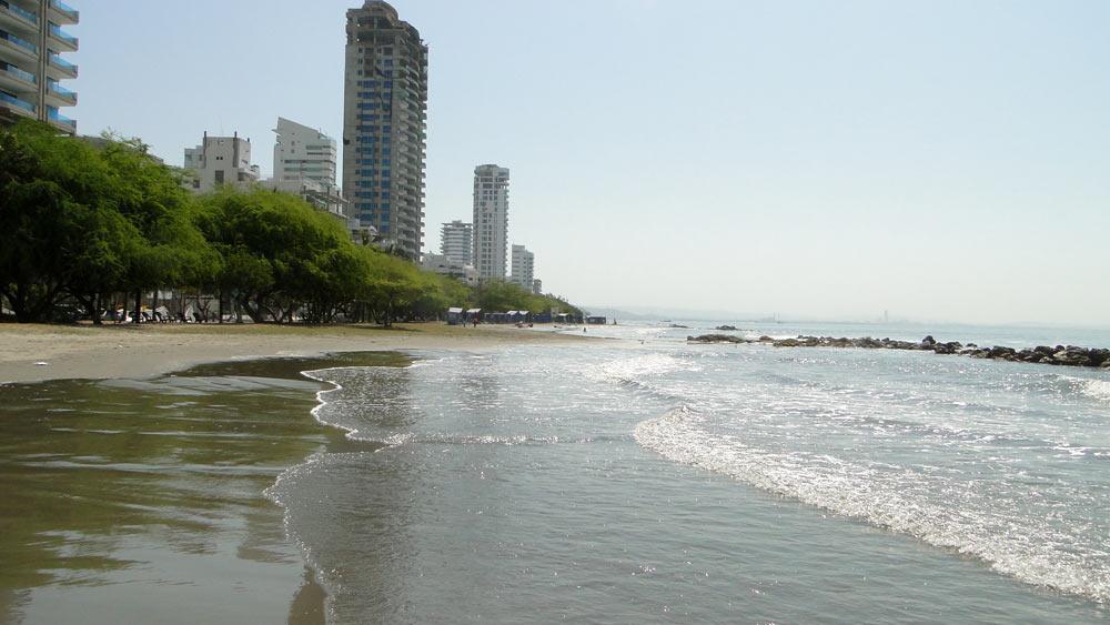 Premium Flat Apartamento *