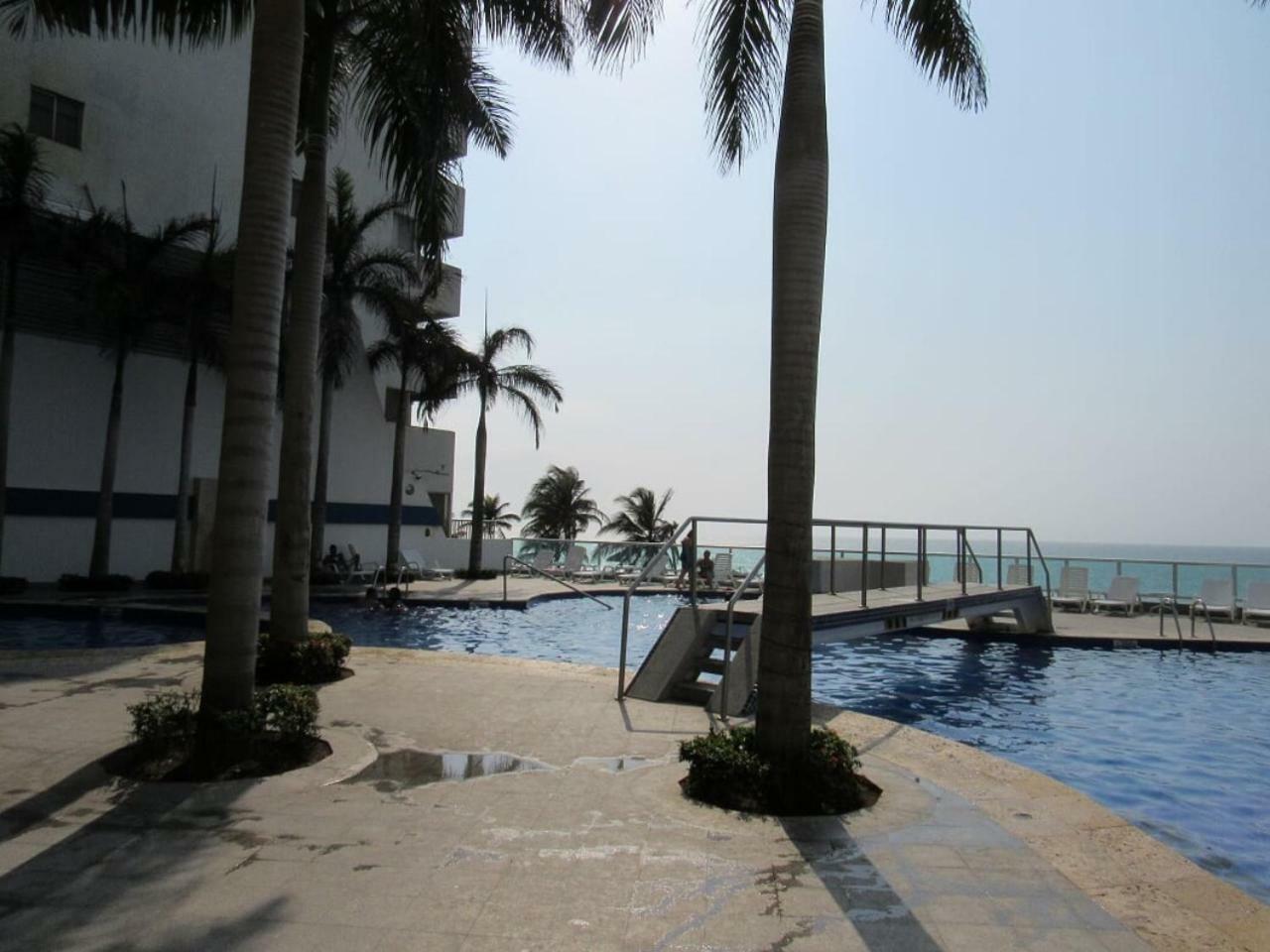Palmetto2803 Cartagena