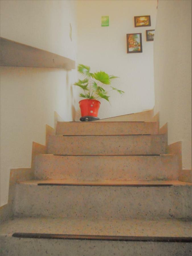 Casa 954 Hotel