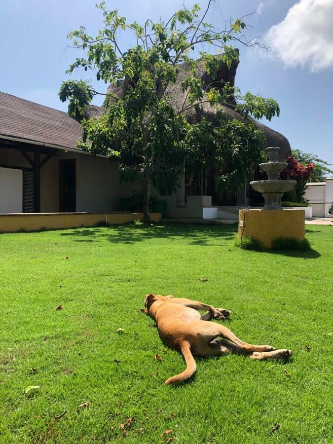 Hotel Beach Bungalows 3*