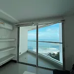 Ocean Front Palmetto Eliptic 905