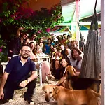 The Three Dog\'S House Torices