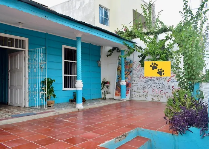 The Three Dog\'S House Torices