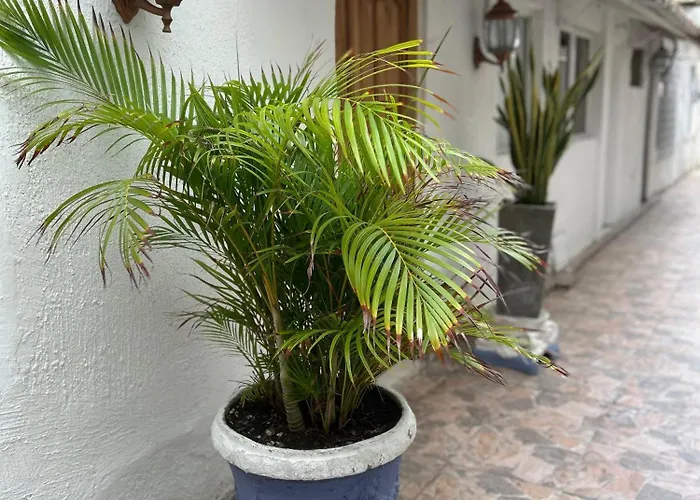 Apartamento En Bocagrande