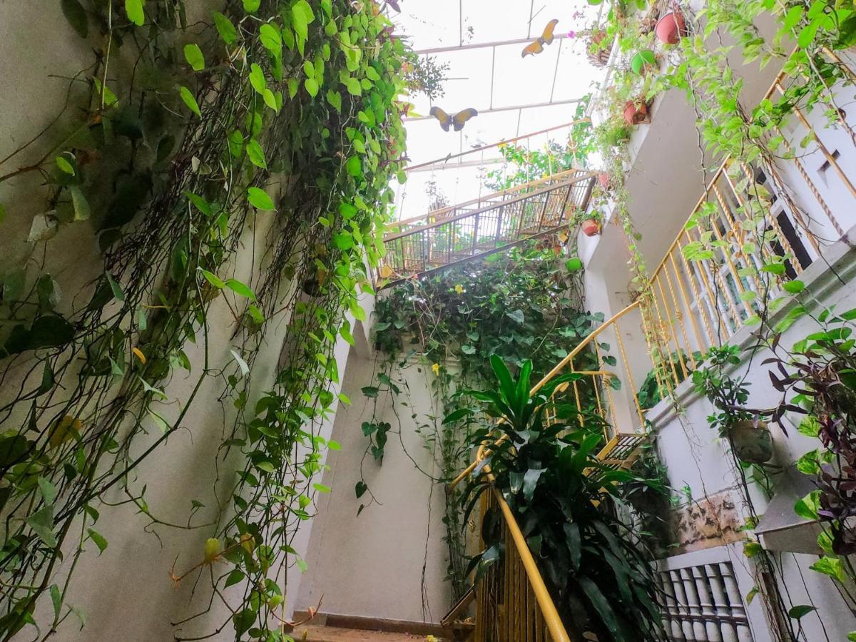 Bed and breakfast Casa Mary *