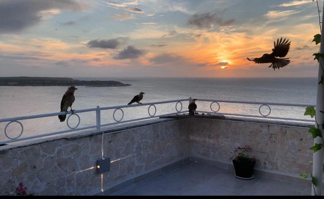 Penthouse 360 Apartamento