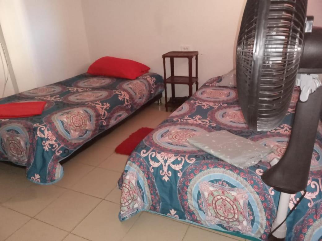 Cat Family Lodging Cartagena