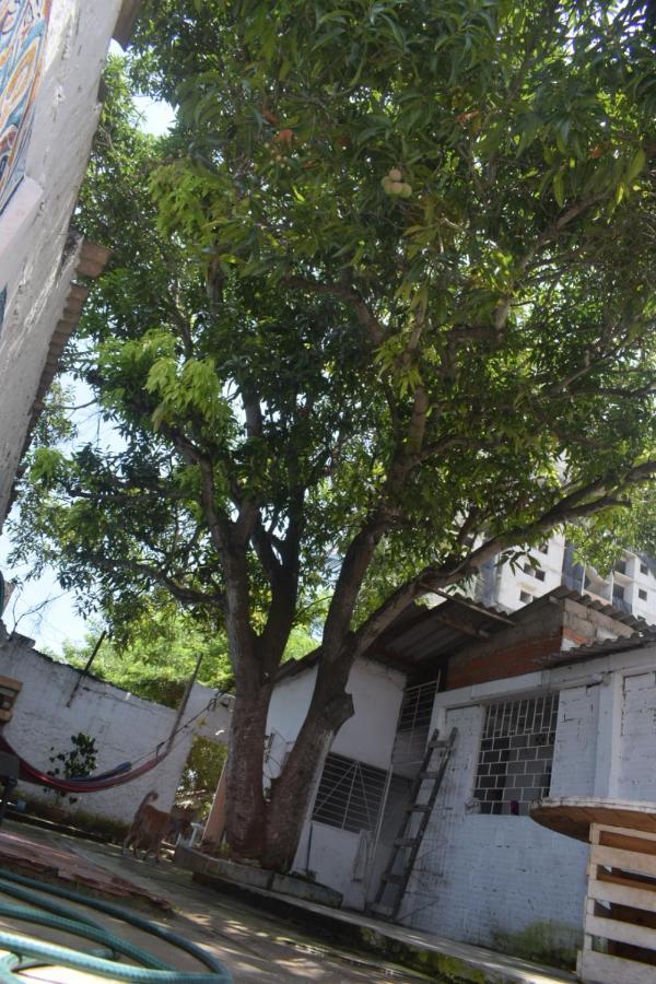 Hosting And Travel Services 420 Hostel