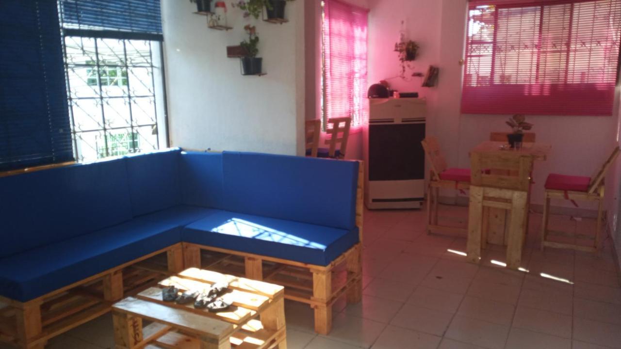 Cat Family Lodging Apartamento *
