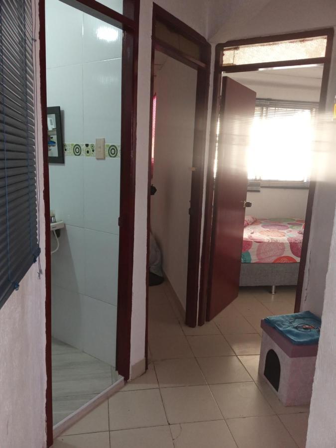 Cat Family Lodging Cartagena