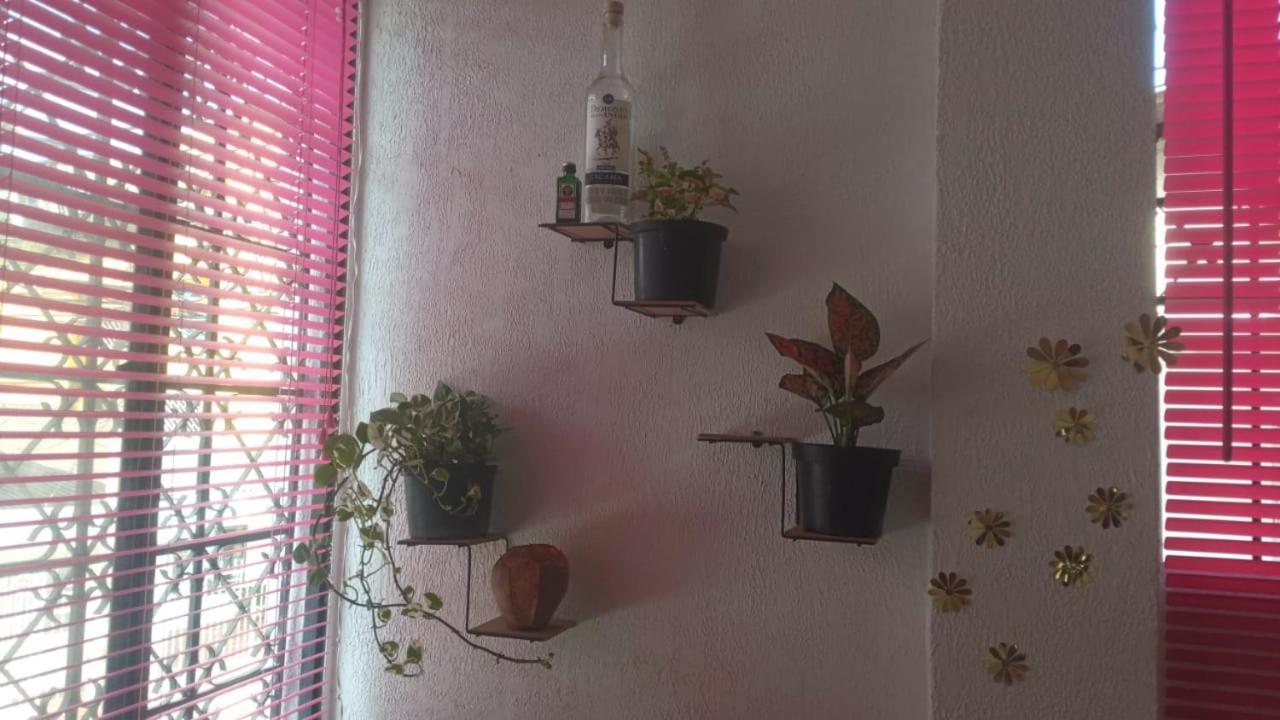 Cat Family Lodging * Cartagena
