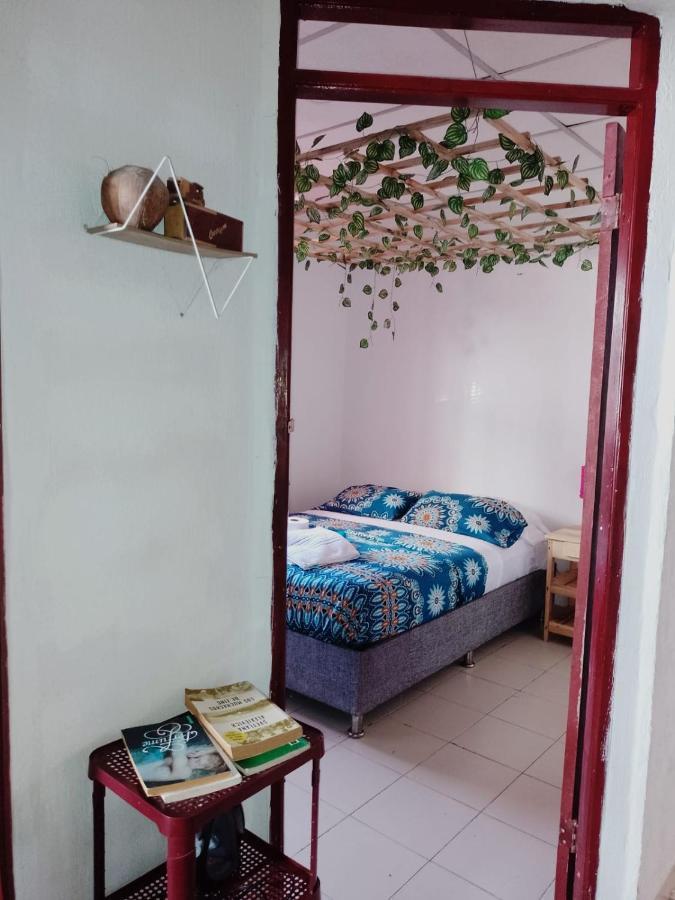 Cat Family Lodging * Cartagena