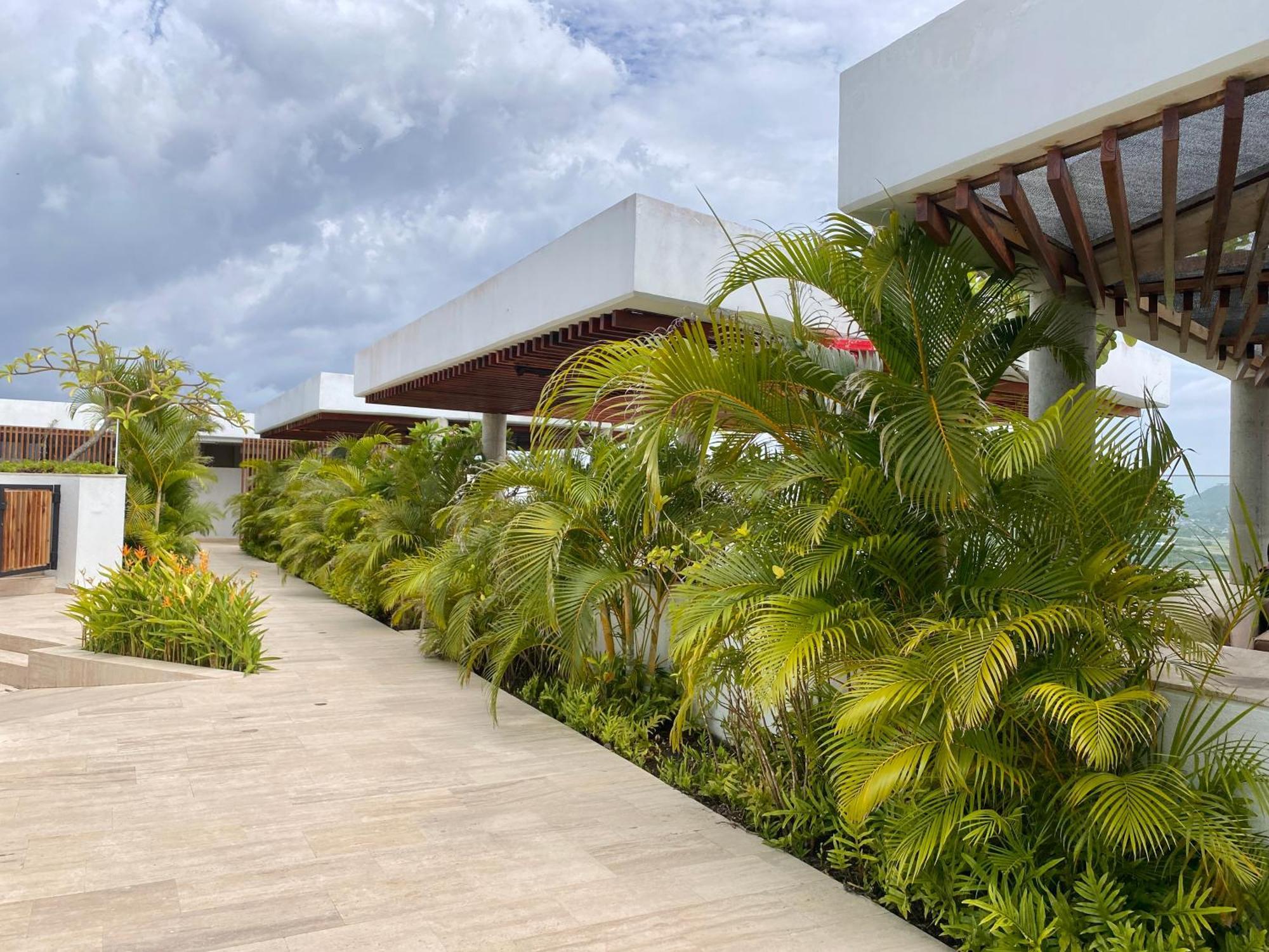 Martinique By Q *