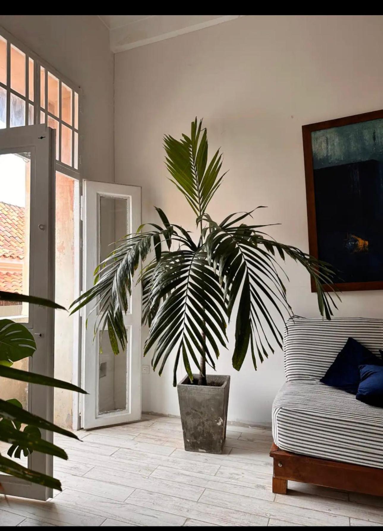 Beautiful Duplex In Old Town With Balcony Apartamento