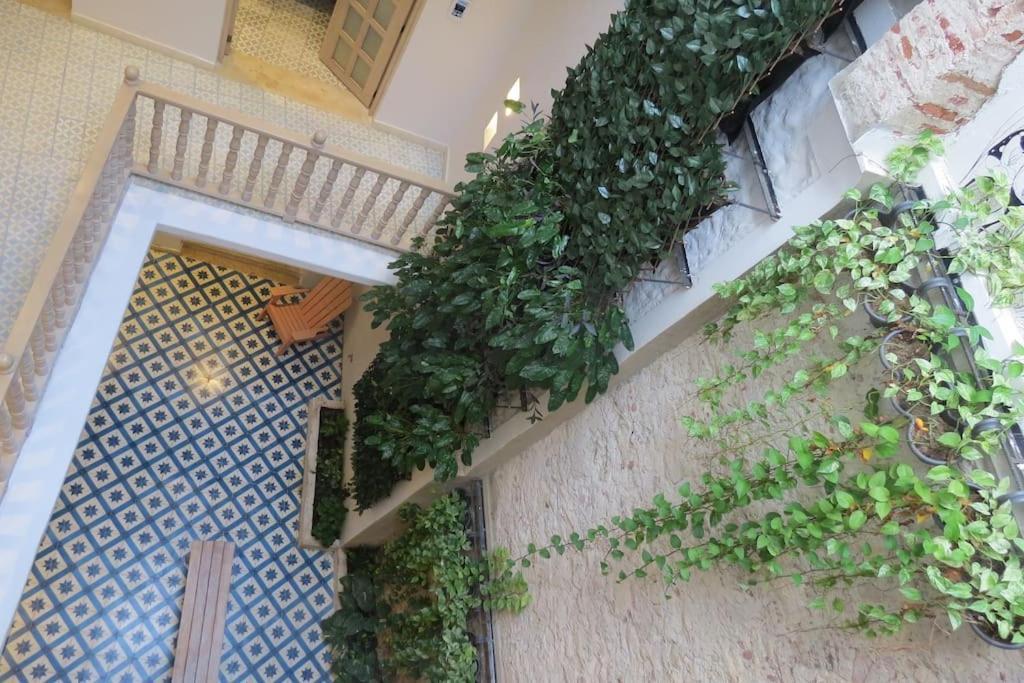 Casa La Dominica, Aldaba Selection Cartagena