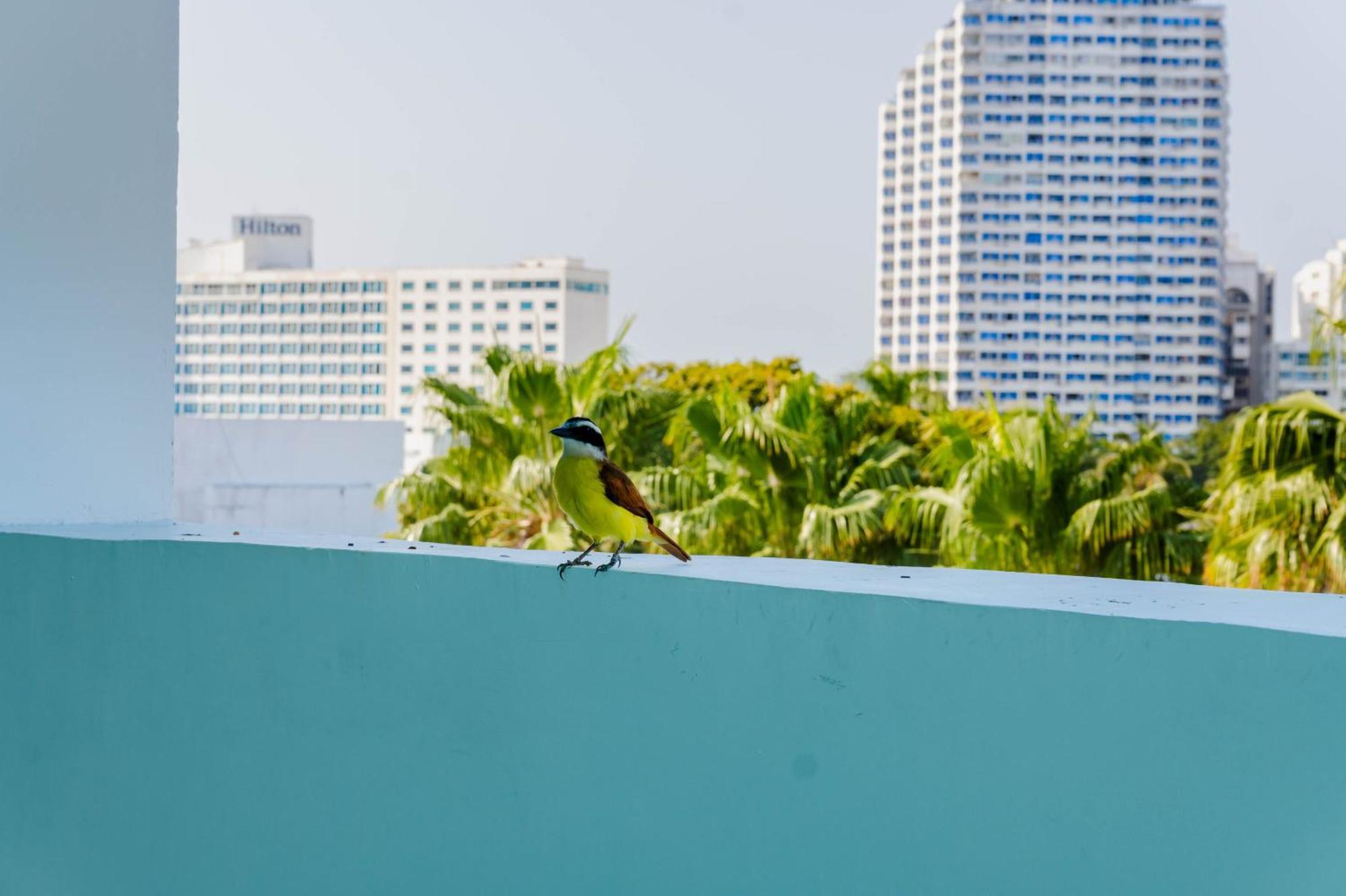 Hotel Hotel Coral Reef Cartagena Cartagena