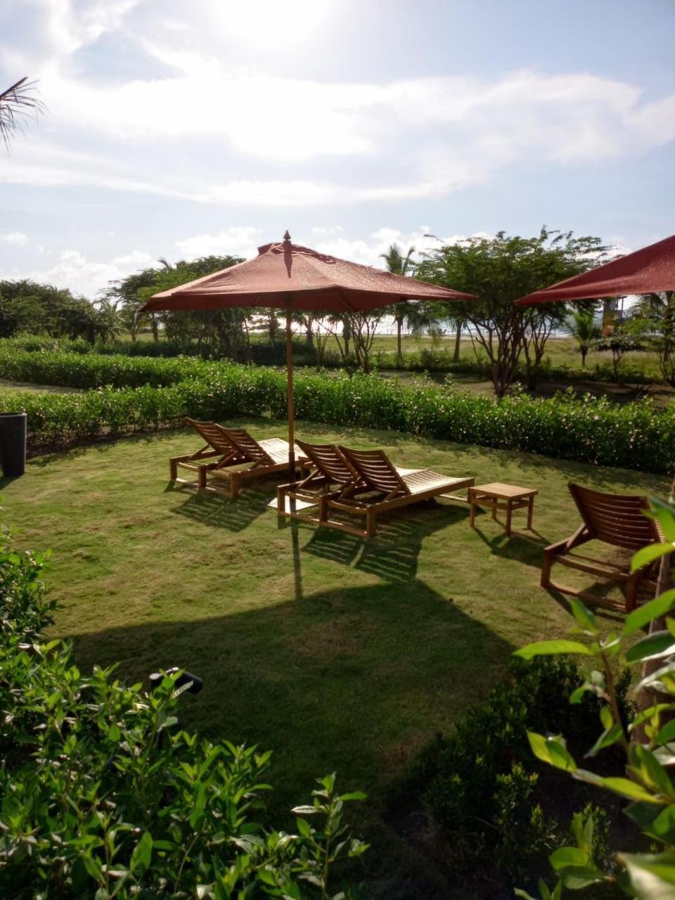 With Exit To The Sea And Mangrove * Cartagena