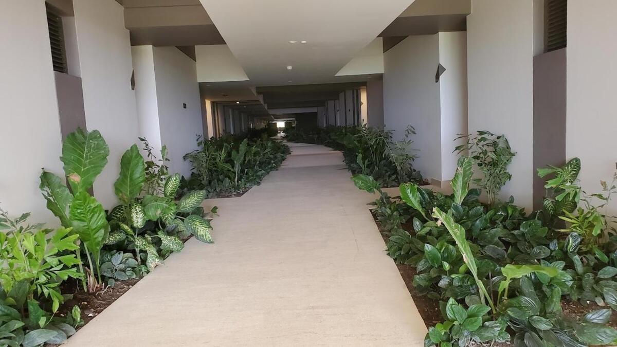 Apartamento With Exit To The Sea And Mangrove