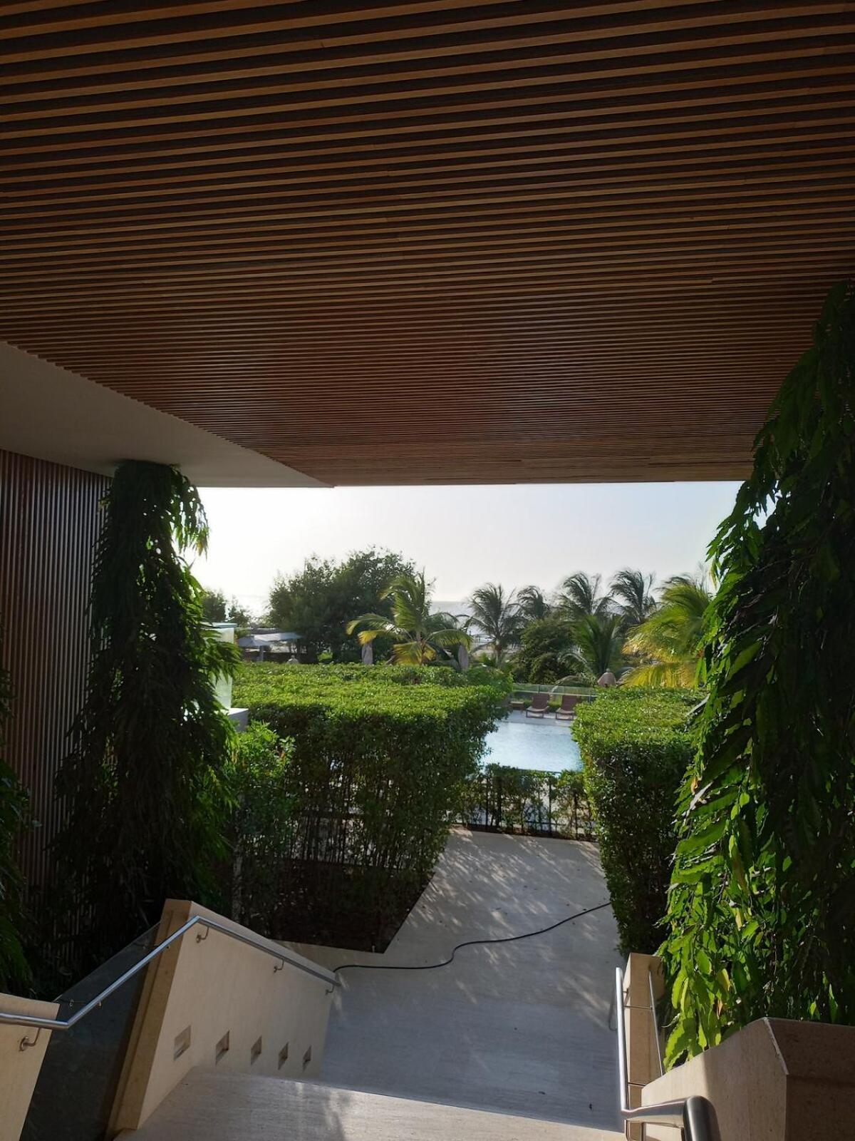 With Exit To The Sea And Mangrove