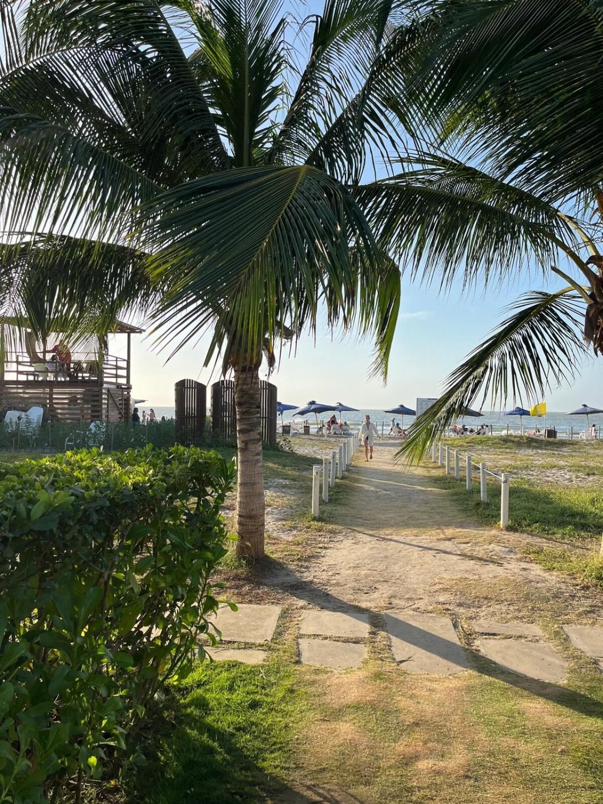 With Exit To The Sea And Mangrove Cartagena