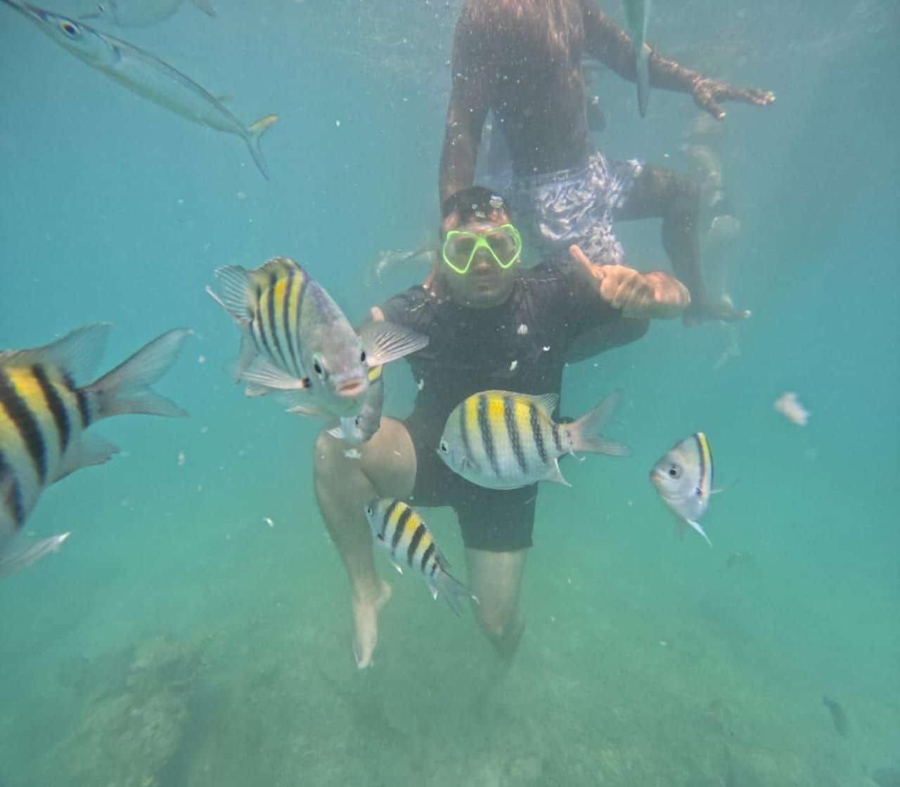 Hospedaje,cartagena,clasicos,turismocolombia-fit Cartagena