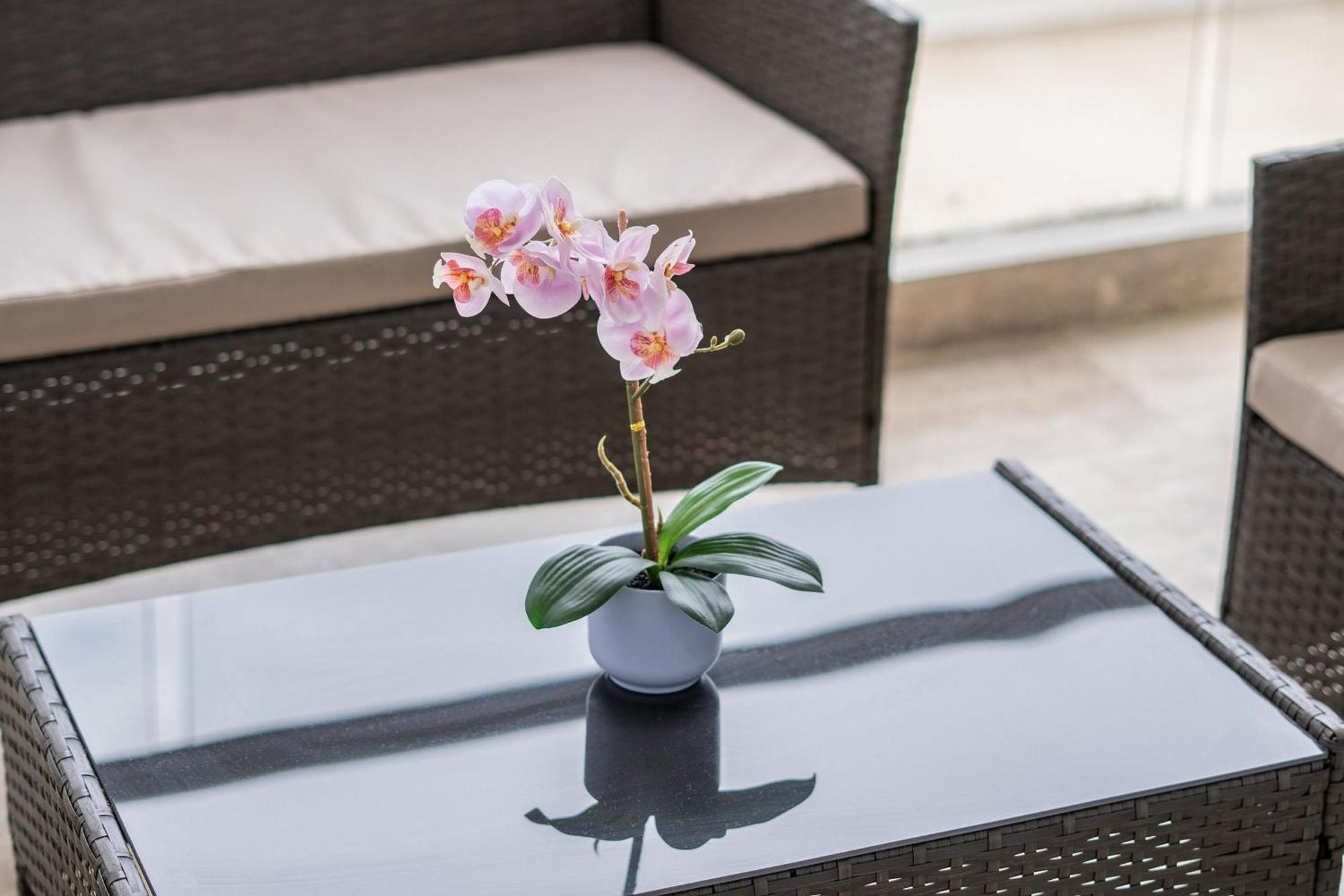 545 Apartamento Cartagena
