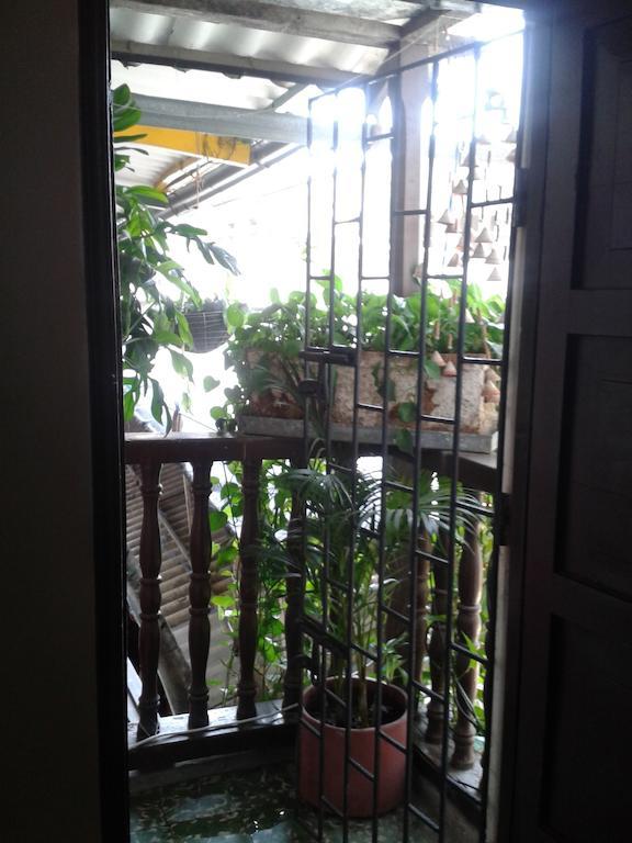 Casa Viena Hostel