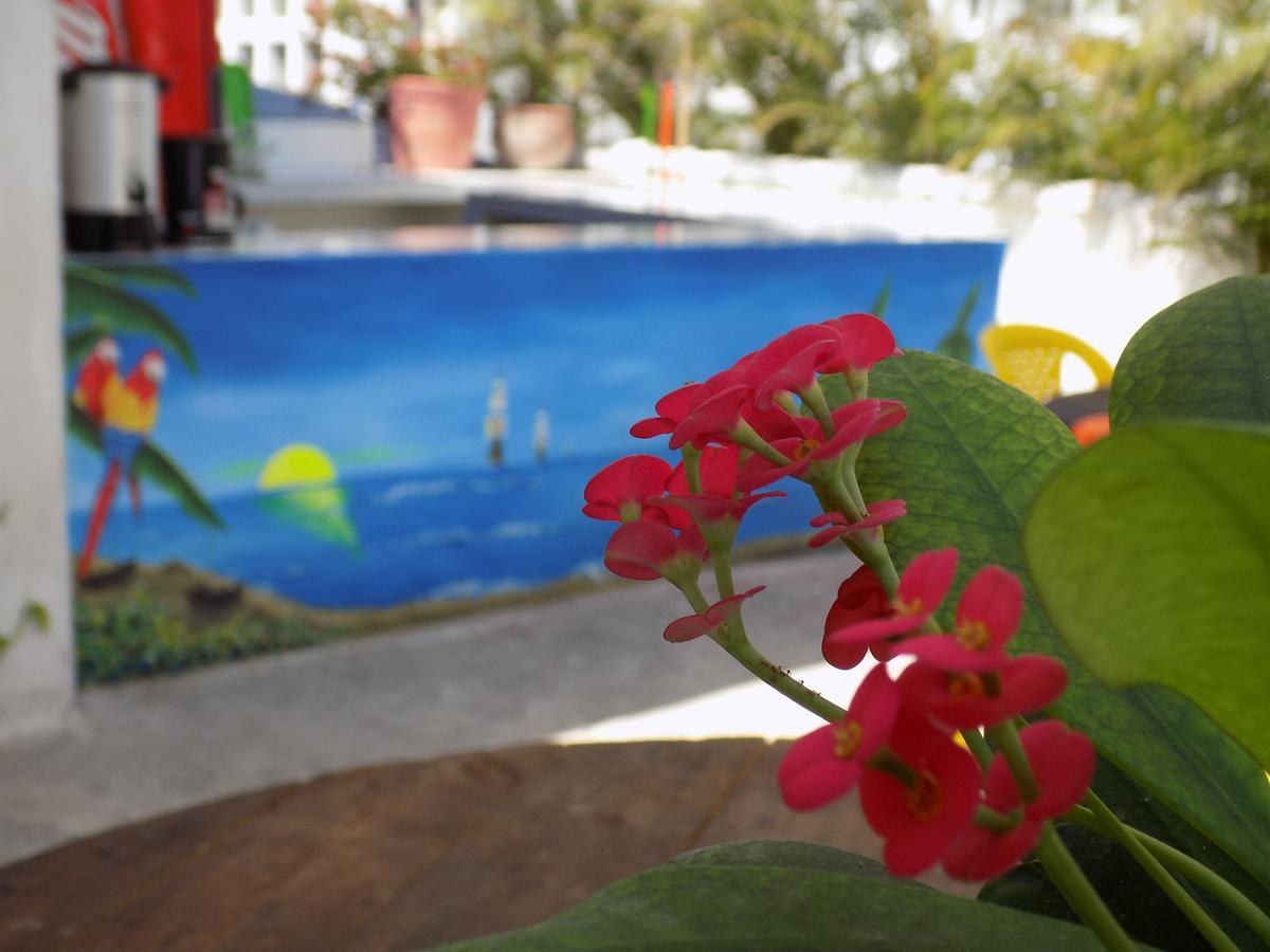 Caracoles Cartagena