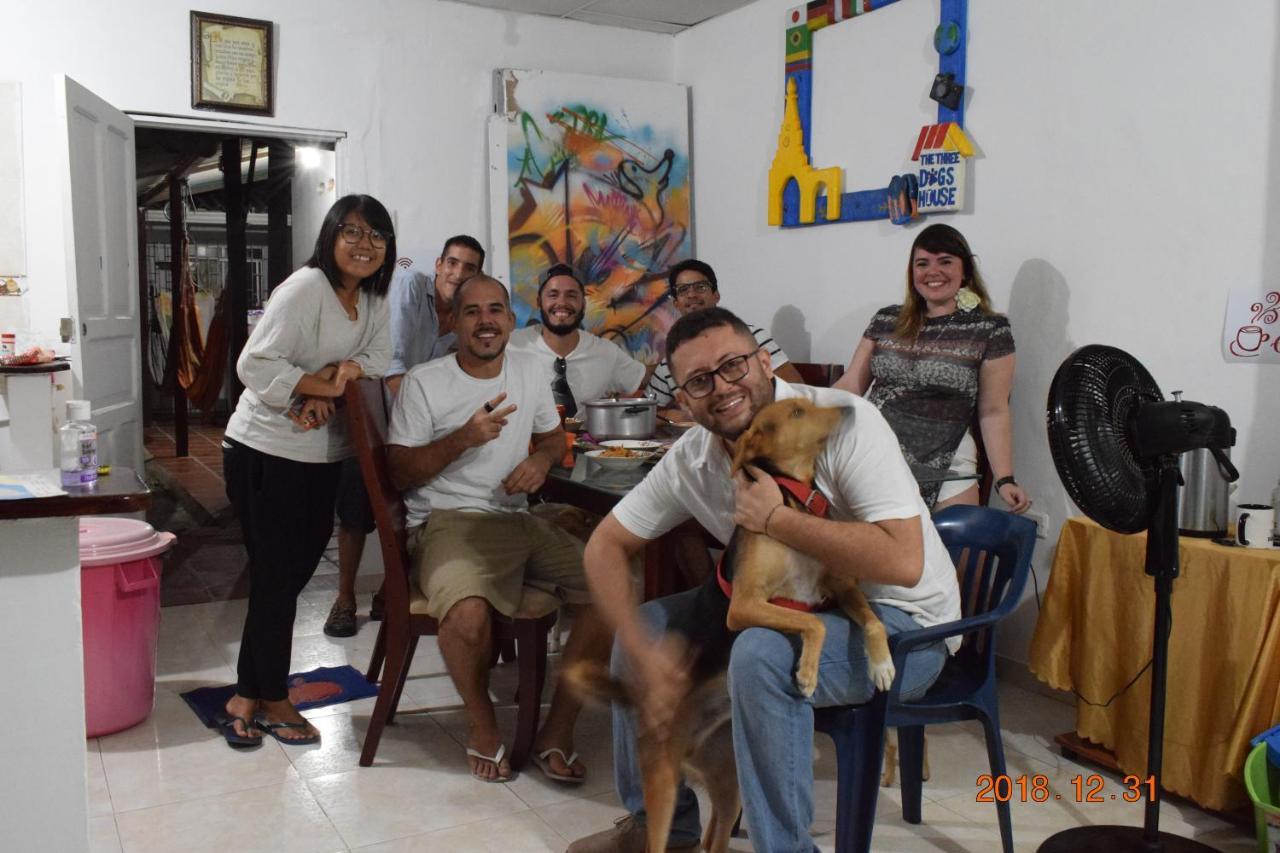 The Three Dog's House Torices Cartagena