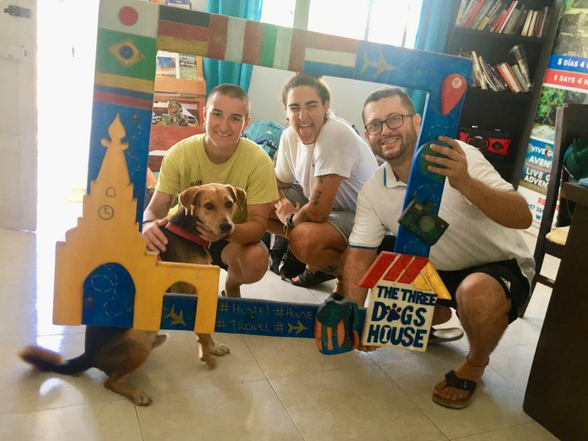 The Three Dog's House Torices * Cartagena