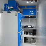 Delfin 207