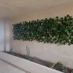 Cabrero - Cerca De La Ciudad Amurallada