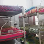 Hostal #10-33